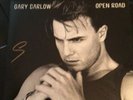 Signed Gary Barlow - Open Road - Limited SIGNED 21st Anniversary 12” Vinyl