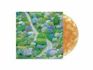 Fiddlehead  Between the Richness LP Amber Cloud Have Heart Hardcore NEW sealed