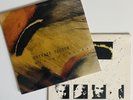 Private Sector HOUSE OF BIRDS + DARKNESS BURNING BRIGHT Vinyl LP Record NM/VG+