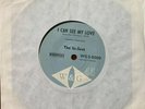 The In-Sect I Can See My Love / More Than I Can Say Rare Oz 60s garage/punk