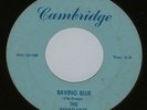 THE RENEGADES Raving Blue & She's Your Find 1960's MICHIGAN GARAGE Cambridge