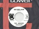 THE ARROWS Blues Rides Again Cycle-Delic 45 RECORD RARE PSYCH NEAR MINT PROMO