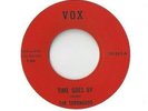 THE TORONADOS Time Goes By 45 RECORD RARE PRIVATE ND GARAGE BEAT ROCK ON VOX