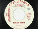 Garage 45 - International Submarine Band - Sum Up Broke - Columbia - VG+ mp3