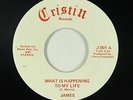 Psych Soul 45 - James - What Is Happening To My Life - Cristin - mp3 - obscure