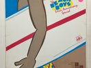 BEACH BOYS Silver Anniversary Special USP Network nn NM 3LPs 3 hour radio show