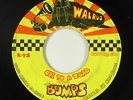 Psych 45 - Bumps - Ode To A Toad/Shining - Walrus - mp3
