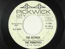 Garage 45 - Primitives - Ostrich - Pickwick - Lou Reed/pre-Velvet Underground