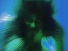 YVES TUMOR-SAFE IN THE HANDS OF LOVE (GATE) (DLCD) VINYL LP NEUF