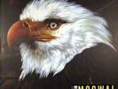 MOGWAI • THE HAWK IS HOWLING • New 2LP