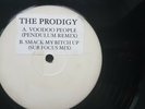 The Prodigy 12