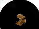 RARE 12 INCH METAL ACETATE - Golden Gate Jubilee Quartet - Live Recordings