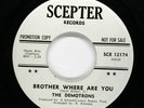 DEMOTRONS Garage Rock PROMO Take This Love I Have b/w Brother Where Are You HEAR
