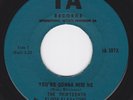 Garage Punk Psych Canada 45 - 13TH THIRTEENTH FLOOR ELEVATORS - Tried To Hide