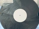 TAKING THE BISCUIT by LYNYRD SKYNYRD -  RARE TEST PRESSING DLP 1/5 in Black