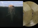 THE MARS VOLTA: De-Loused in the Comatorium 2LP Exclusive Gold VMP Vinyl ROTM