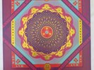 Grateful Dead - May 8 1977 - Cornell - RSD  Record - Vinyl