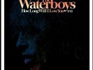 The Waterboys How Long Will I Love You RSD2021 12