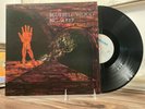Bluebell Wood Big Sleep VERY RARE UK Prog Rock (1971) Gatefold NM