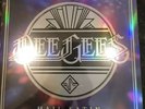 Foo Fighters (Dee Gees) Hail Satin Record Store Day Exclusive 2021 RSD Vinyl LP