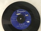 Danny & The Juniors 45RPM “At the Hop” 1957 Rock N Roll 7” Oldies Jukebox Vinyl