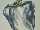 SEALED Official WEEN Album WHITE PEPPER Record 180 GRAM VINYL 2009 Plain Lp NEW
