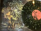 King Gizzard and the Lizard Wizard LP Signed By Stu   Murder Of The Universe