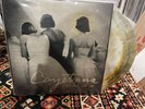 Cayetana Nervous Like Me White w/ Gold and Black Starburst Limited To 125