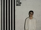 Noel Gallagher's High Flying Birds Chasing Yesterday 180G Vinyl LP New Sealed