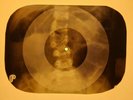 Chuck Berry - Brown Eyed Handsome Man X-RAY OF USSR X-RAY BONE RECORD
