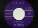 Northern Soul/Doo-Wop R&B 45 - Antennas - Be Yourself/Fuji-Yama Mama - Clay mp3