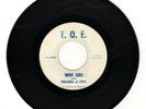 Trojans Of Evil - Why Girl / Through The Night 45 1967 Garage Very Rare