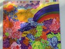 Lightning Bolt “Wonderful Rainbow” Vinyl, Used, One Owner, Load Records 041