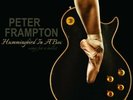 NEW Peter Frampton Hummingbird In A Box Songs of Ballet LP Vinyl Record