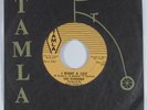Northern Soul Girl Group 45 SUPREMES I Want A Guy TAMLA HEAR