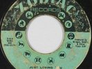 Northern Soul 45 - Ruby Andrews - Just Loving You - Zodiac - mp3