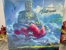 LIMITED Edition Futurecop Voltrana Sky BLUE Color Vinyl 2x LP Synthwave Gatefold