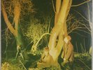 ECHO AND THE BUNNYMEN: Crocodiles US Sire New Wave Post Punk Vinyl LP