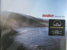 INCUBUS LP x 2 Morning View NUMBERED 2012 Record Store Day SEALED