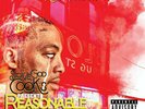 Stove God Cooks - Reasonable Drought Vinyl LP NEU 09546575
