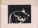 CAPTAIN BEEFHEART AND HIS MAGIC BAND Clear Spot LP VINYL Germany Reprise 12