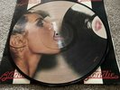 blondie parallel lines vinyl Picture Disc , Good Condition