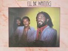 The Tamlins - I'll Be Waiting (LP, Album)