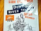 Liam Gallagher LOW NUMBER Down By The River Thames Vinyl LP 018/350 Oasis Rare