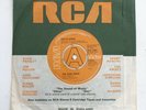 David Bowie The Jean Genie Original RCA 2302 DEMO