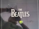 Stereo Vinyl Box Set by The Beatles (Record, 2012)