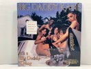 BIG DADDY KANE - IT’S A BIG DADDY THING LP (1989 COLD CHILLIN):ORIGINAL PRESSING