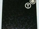 Death In June vinyl 2xLP - The World That Summer. 1st Press Embossed Roses. EX+