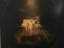 Ritual by In This Moment (LP, Gold, 2017 Atlantic, US, 1686-174571, NM)
