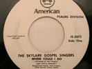 Black Gospel 45 - SKYLARK GOSPEL SINGERS - Where Could...AMERICAN PSALMS DIV mp3